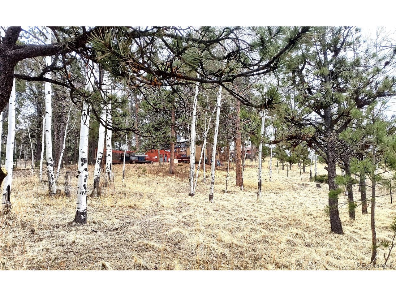 Photo of 103 Adair Cir Florissant CO 80816
