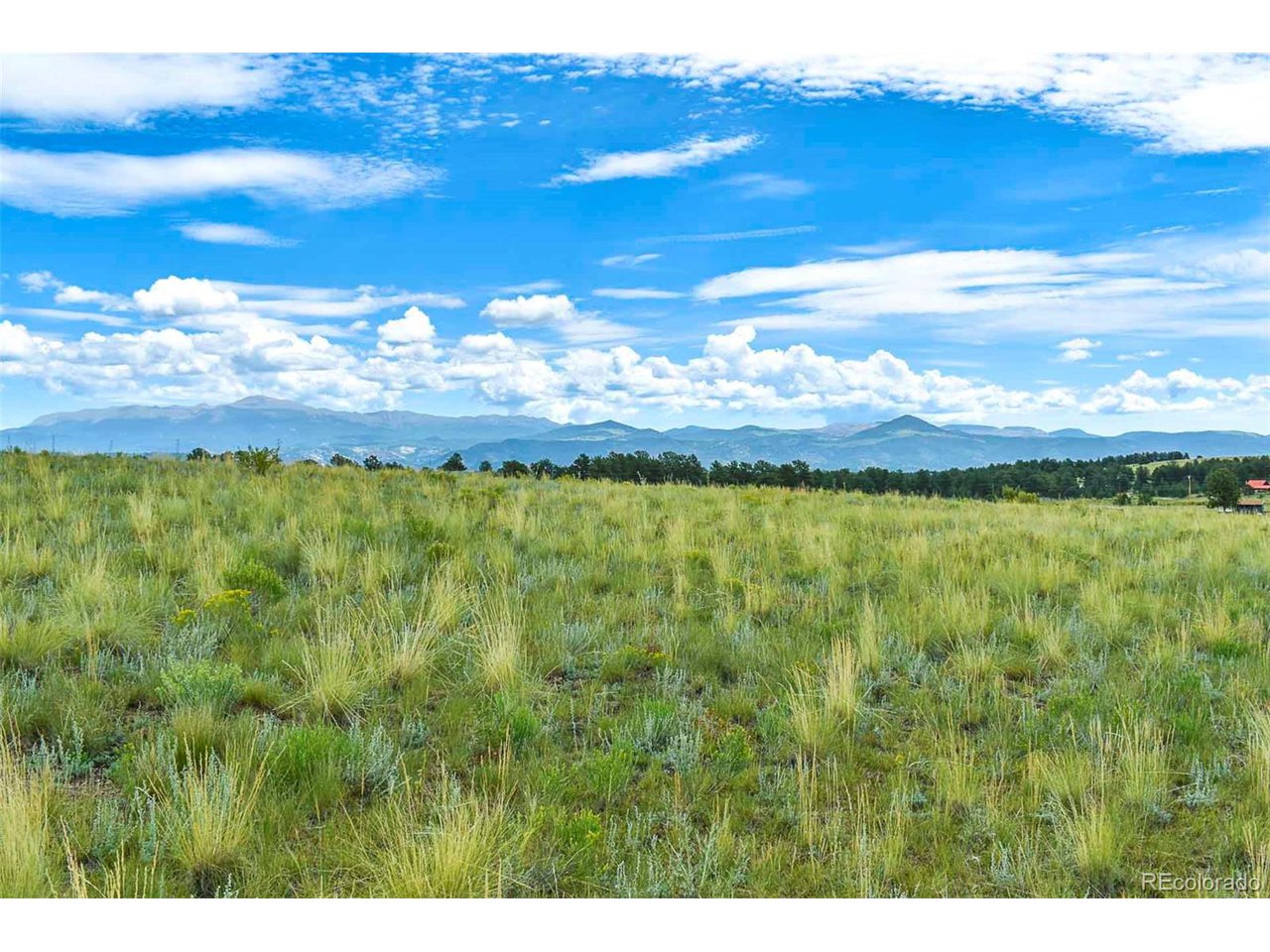 Photo of 4782 County Road 71 Guffey CO 80820