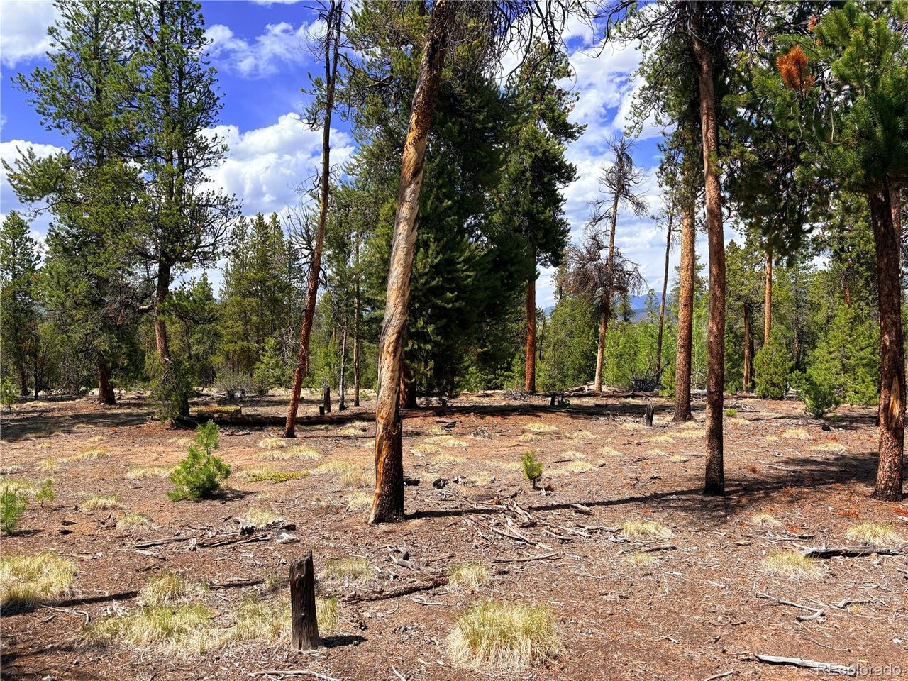 Photo of 360 Lodgepole Dr Leadville CO 80461