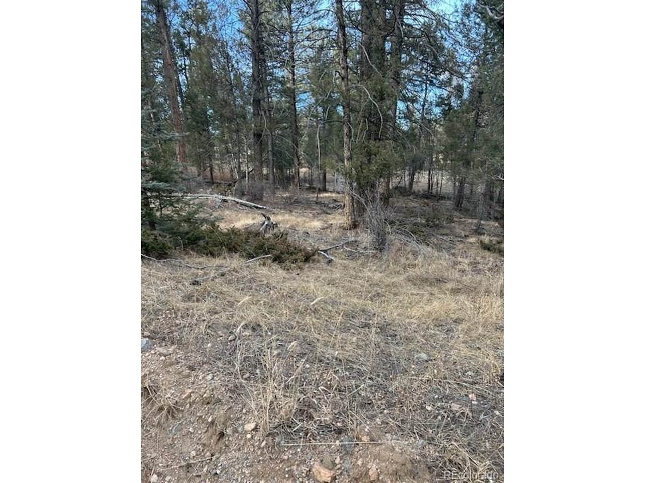 Photo of 260 Ranch Resorts Dr Florissant CO 80816