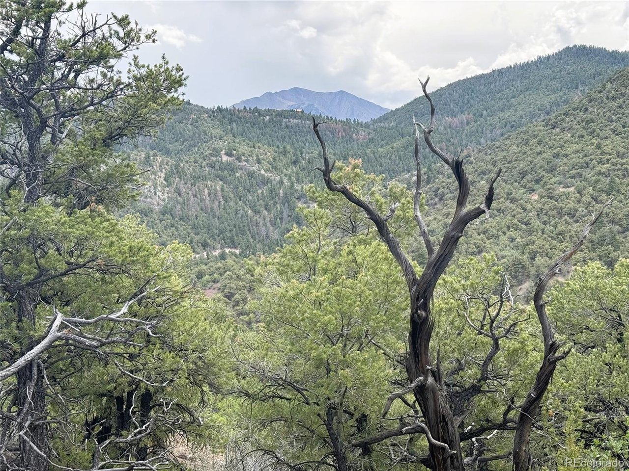 Photo of 3282 Lower Camp Rd Howard CO 81233
