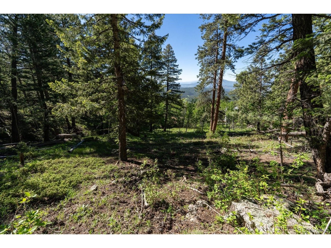 Photo of 11698 Nichols Way Conifer CO 80433