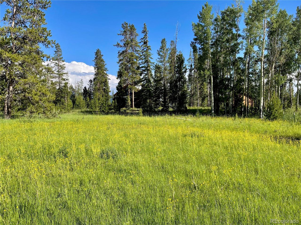 Photo of 1680 N Cr-491 Rd Grand Lake CO 80447