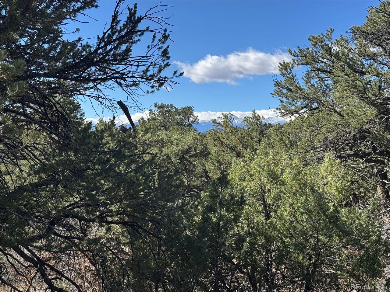 Photo of 143 18th Trl Cotopaxi CO 81223