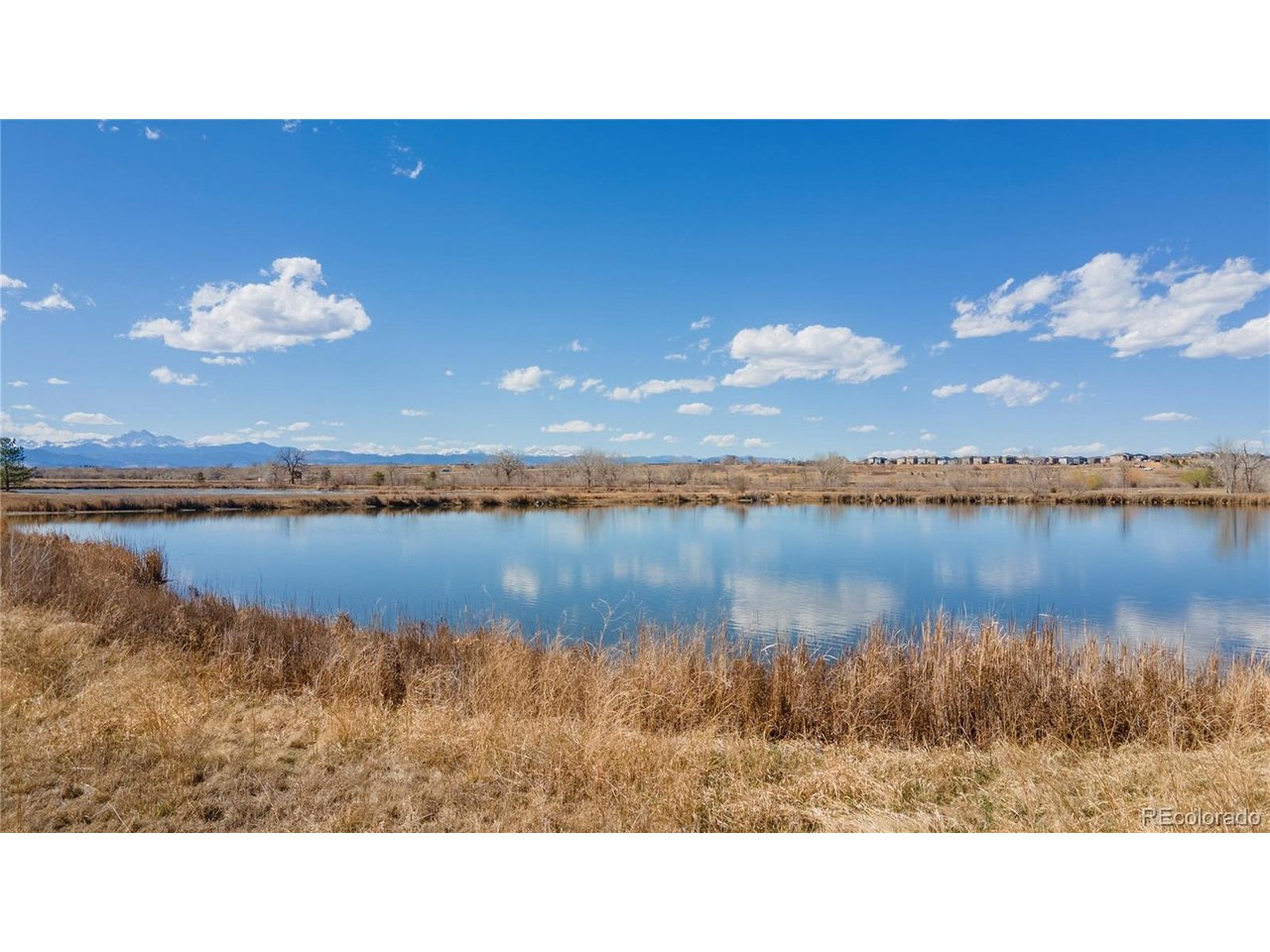 Photo of 4791 County Road 24 3/4 Longmont CO 80504