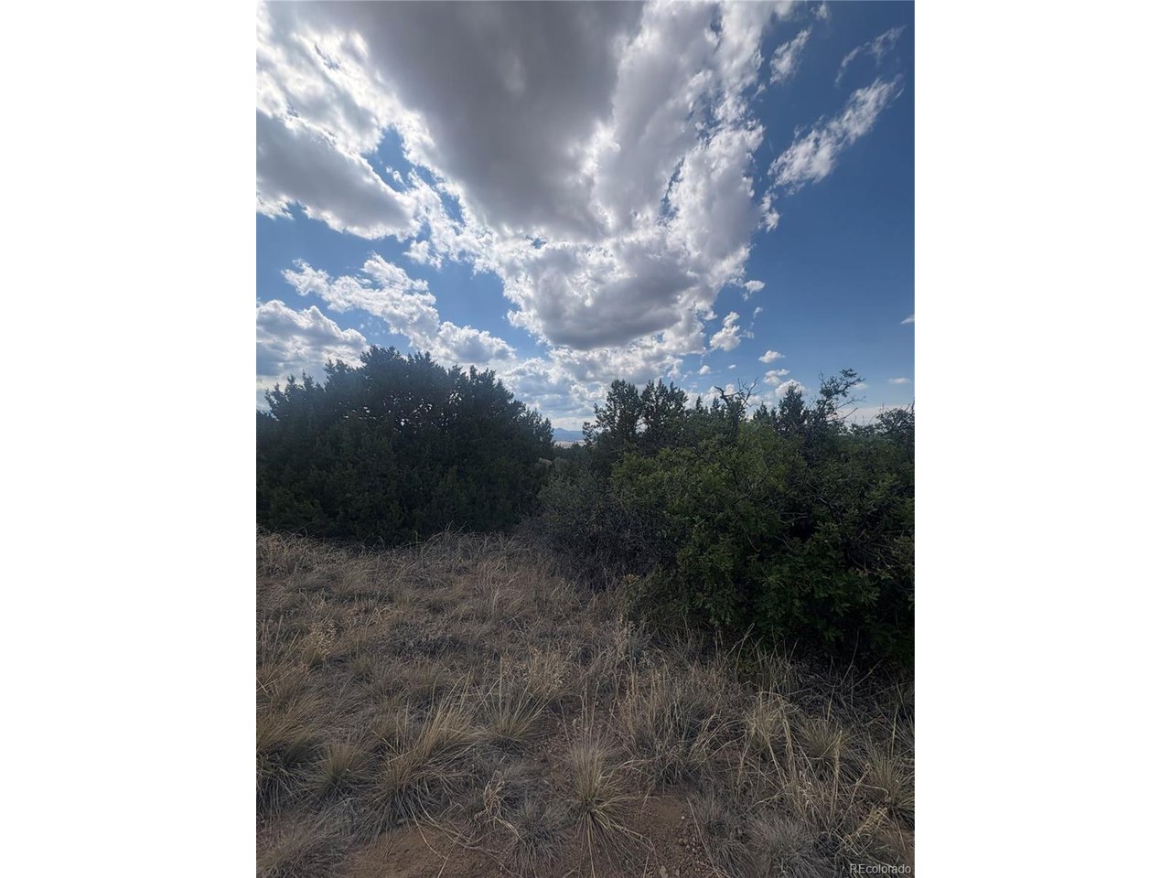 Photo of Mount Shavano Colorado City CO 81019