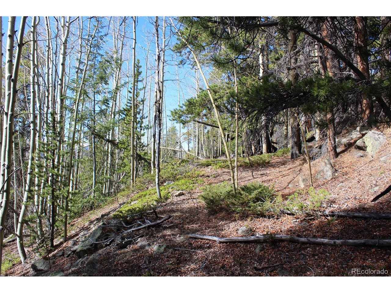 Photo of 4 Lamertine Rd Idaho Springs CO 80452