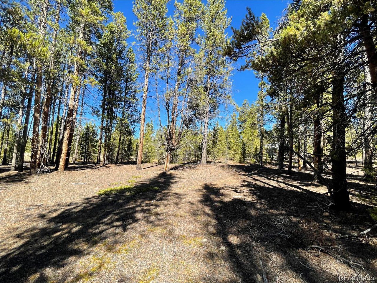 Photo of 300 Virginia Ave Leadville CO 80461
