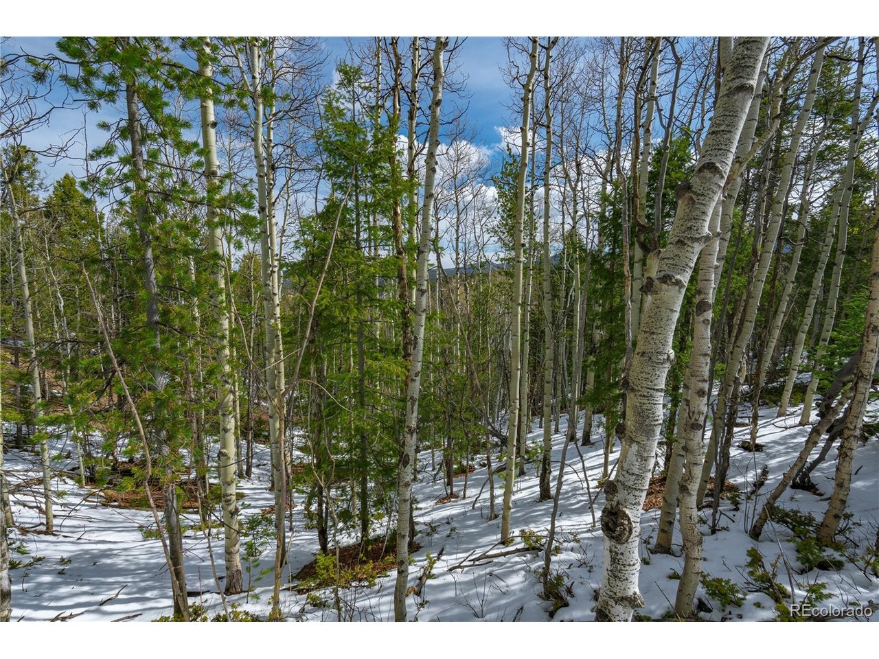Photo of 224 Deadwood Rd Cripple Creek CO 80813