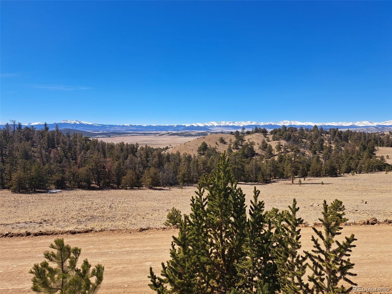 Photo of 369 Summit Rd Hartsel CO 80449