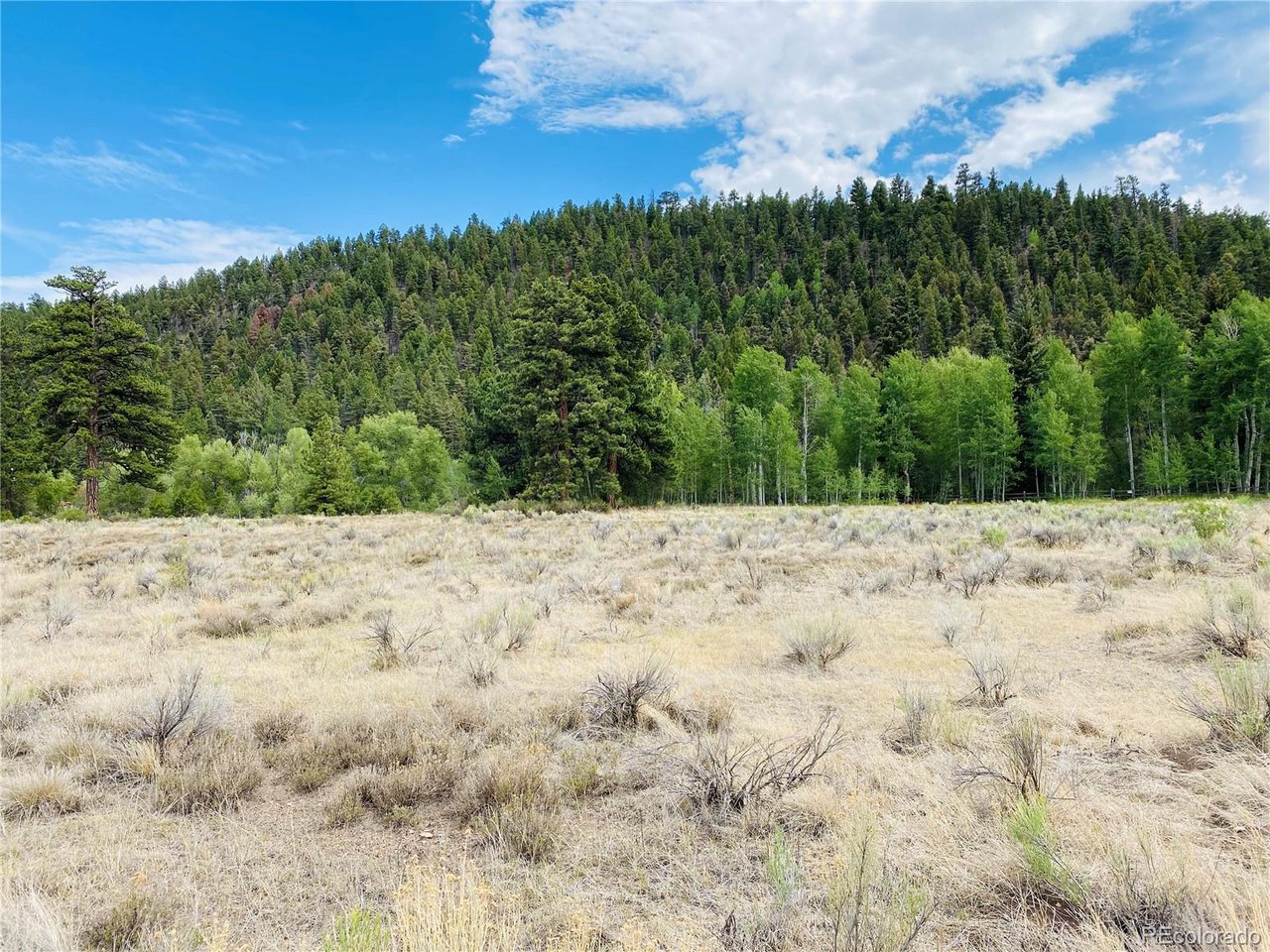 Photo of 7 Massey Creek Rd Antonito CO 81120
