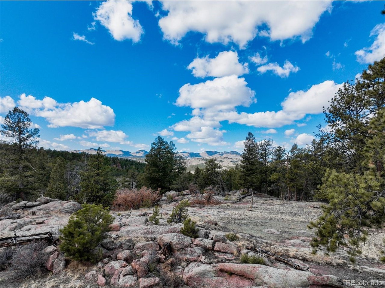 Photo of 54 Ute Cir Florissant CO 80816