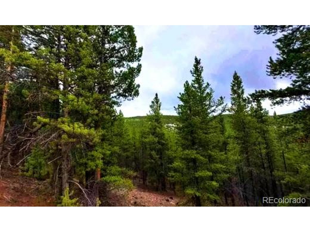 Photo of 111 FS Road 752.3B Gunnison CO 81231