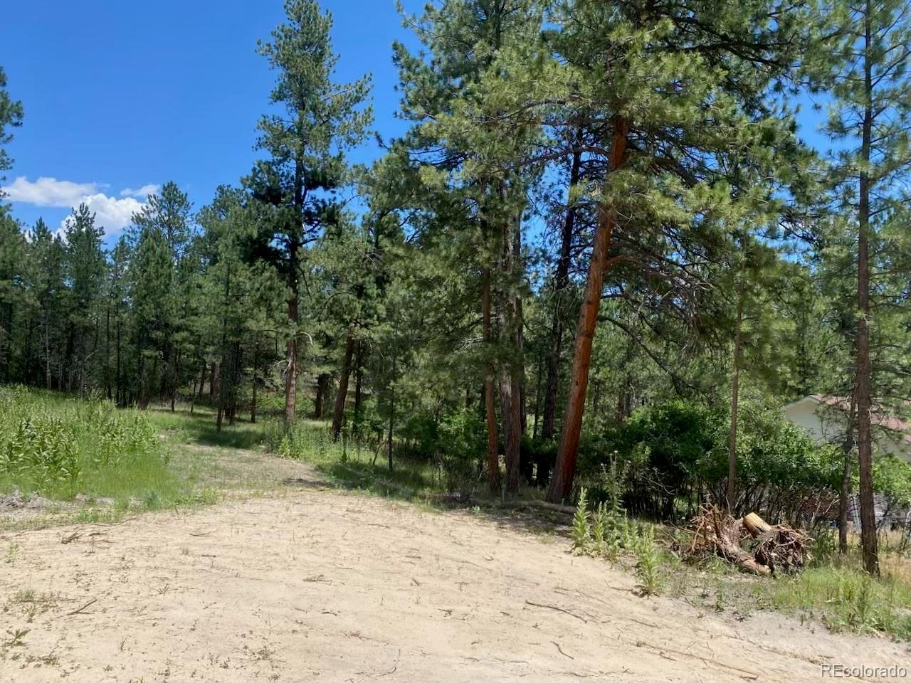Photo of No Address Listed Larkspur CO 80118