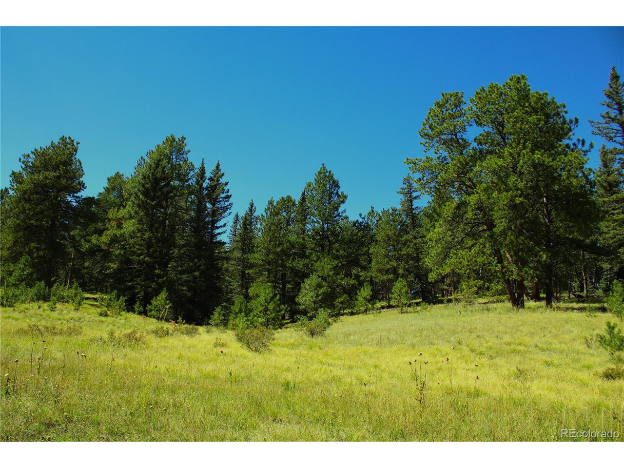 Photo of No Address Listed Divide CO 80814