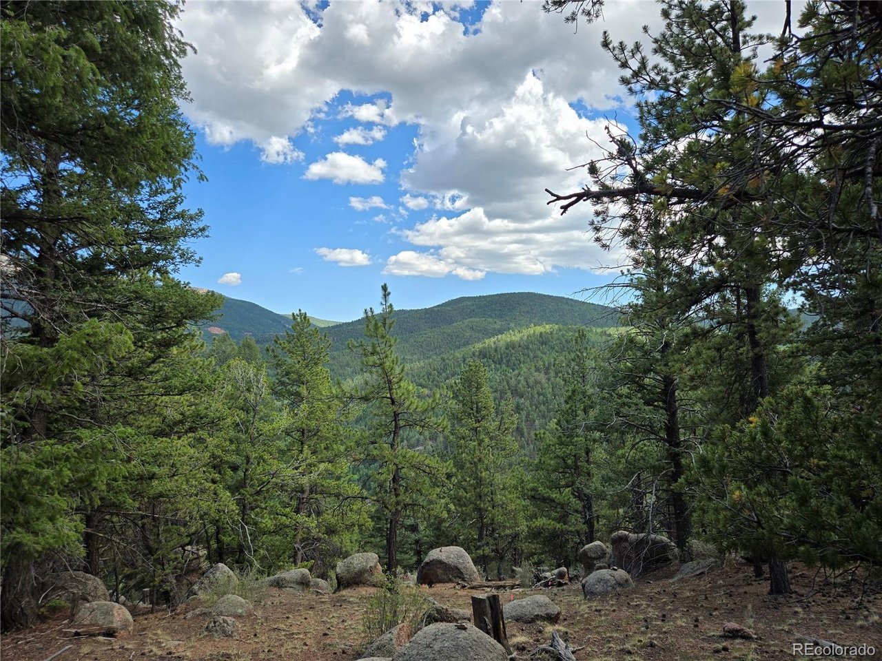 Photo of 222 Blue Spruce Rd Divide CO 80814