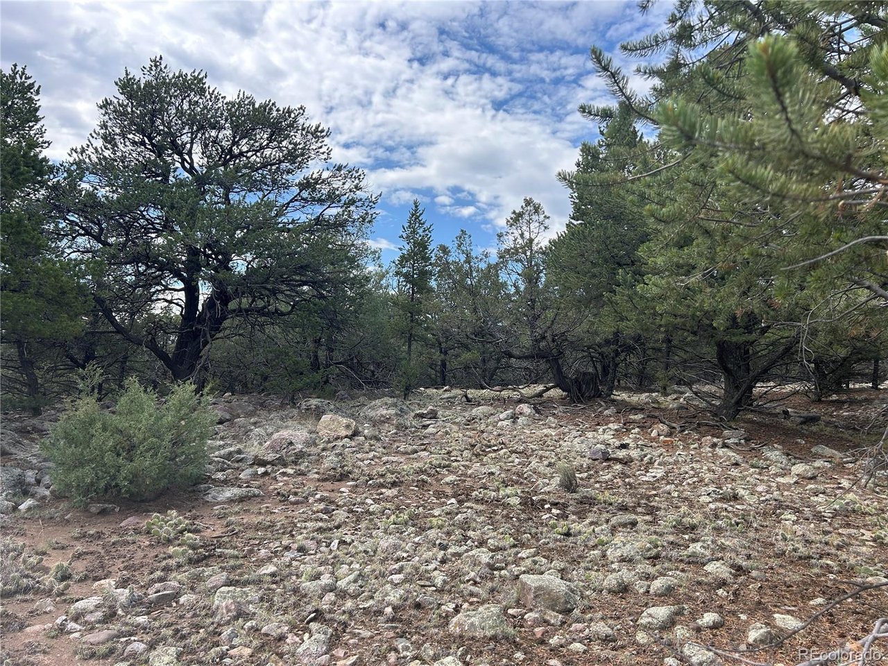 Photo of 1661 Willow Creek Way Crestone CO 81131