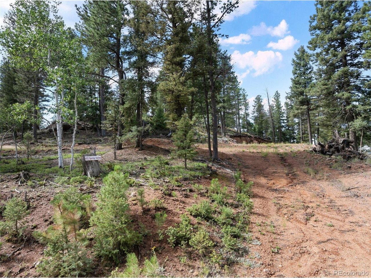 Photo of 422 Spring Valley Dr Divide CO 80814