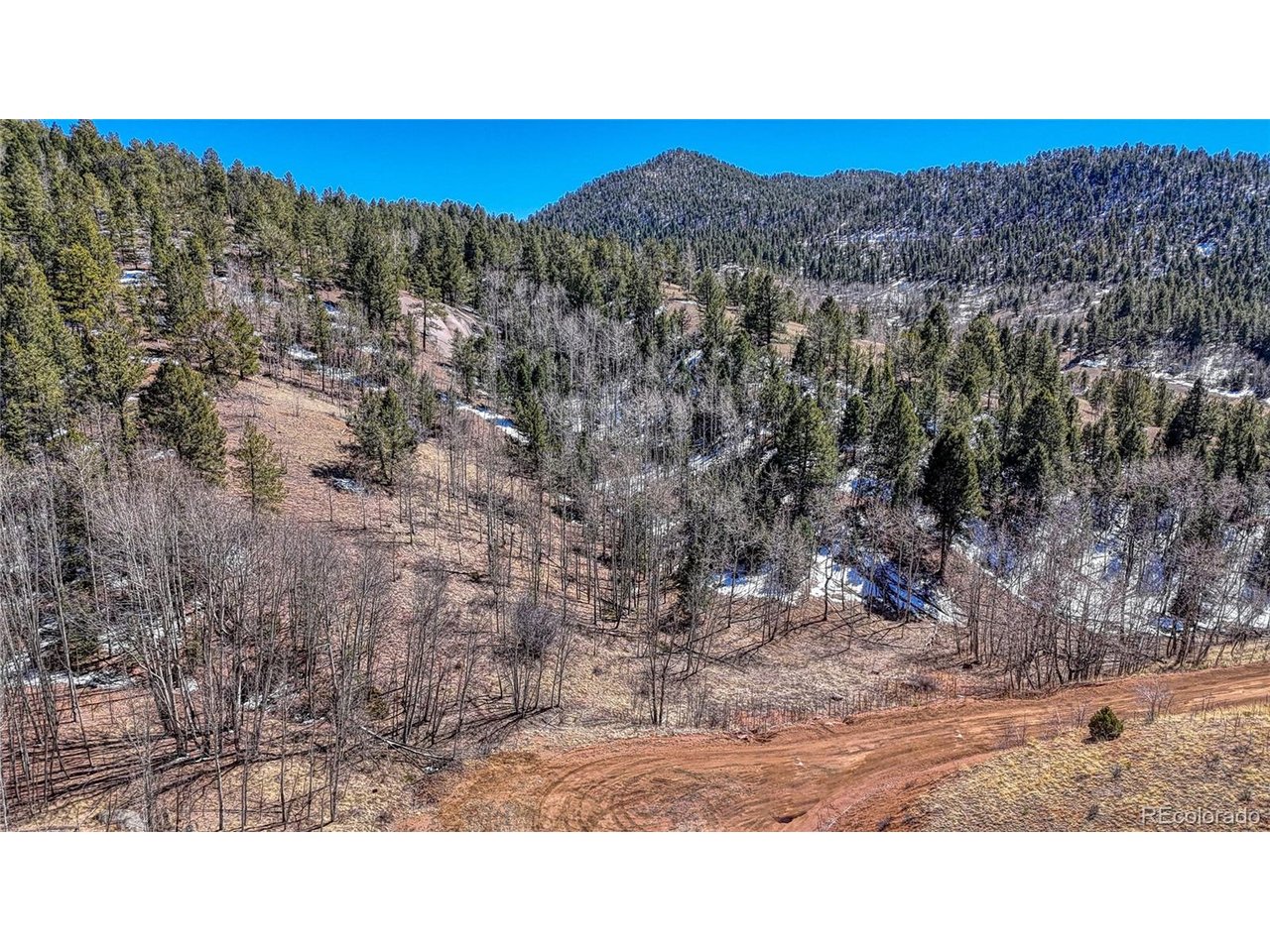 Photo of 513 Last Dollar Dr Cripple Creek CO 80813