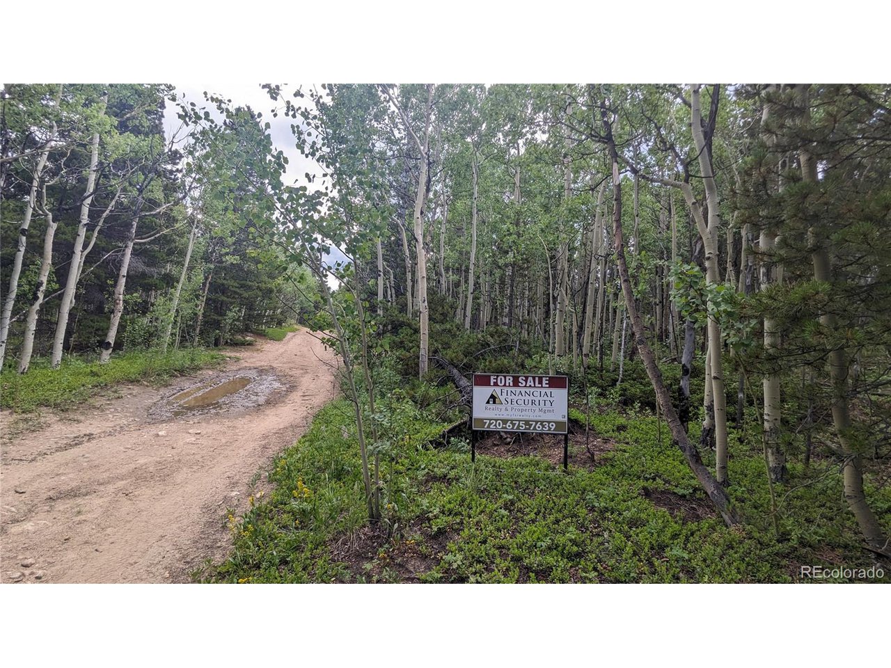 Photo of Roy Smith Rd Central City CO 80427