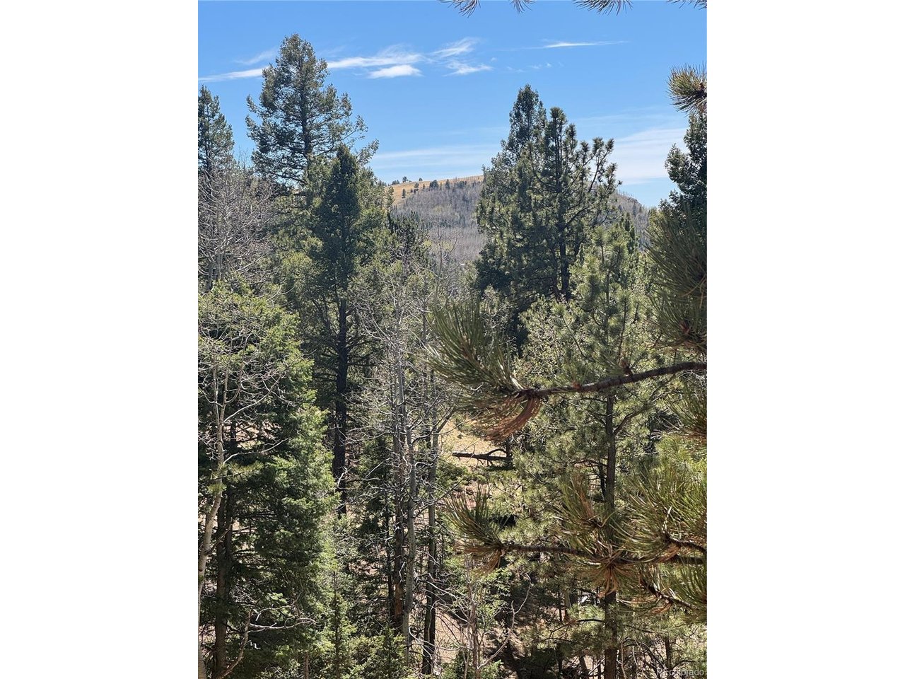 Photo of 288 Troy Dr Cripple Creek CO 80813