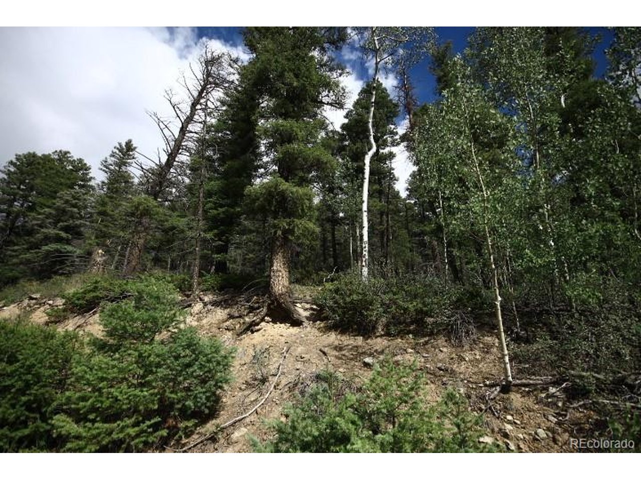 Photo of 6078 Vreeland Rd San Luis CO 81152