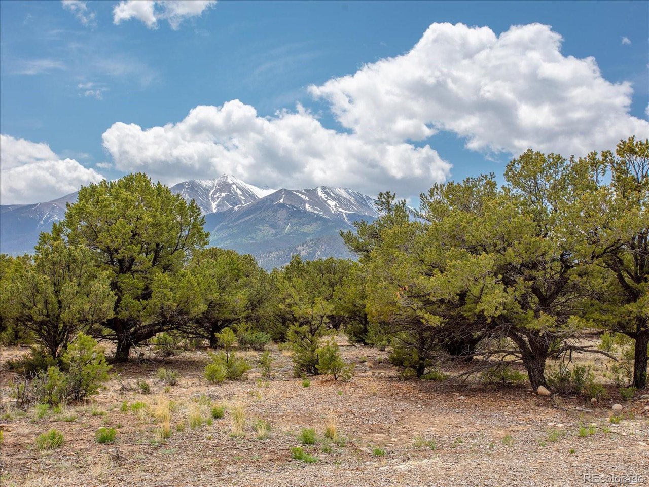 Photo of 29269 Timber Rdg Buena Vista CO 81211