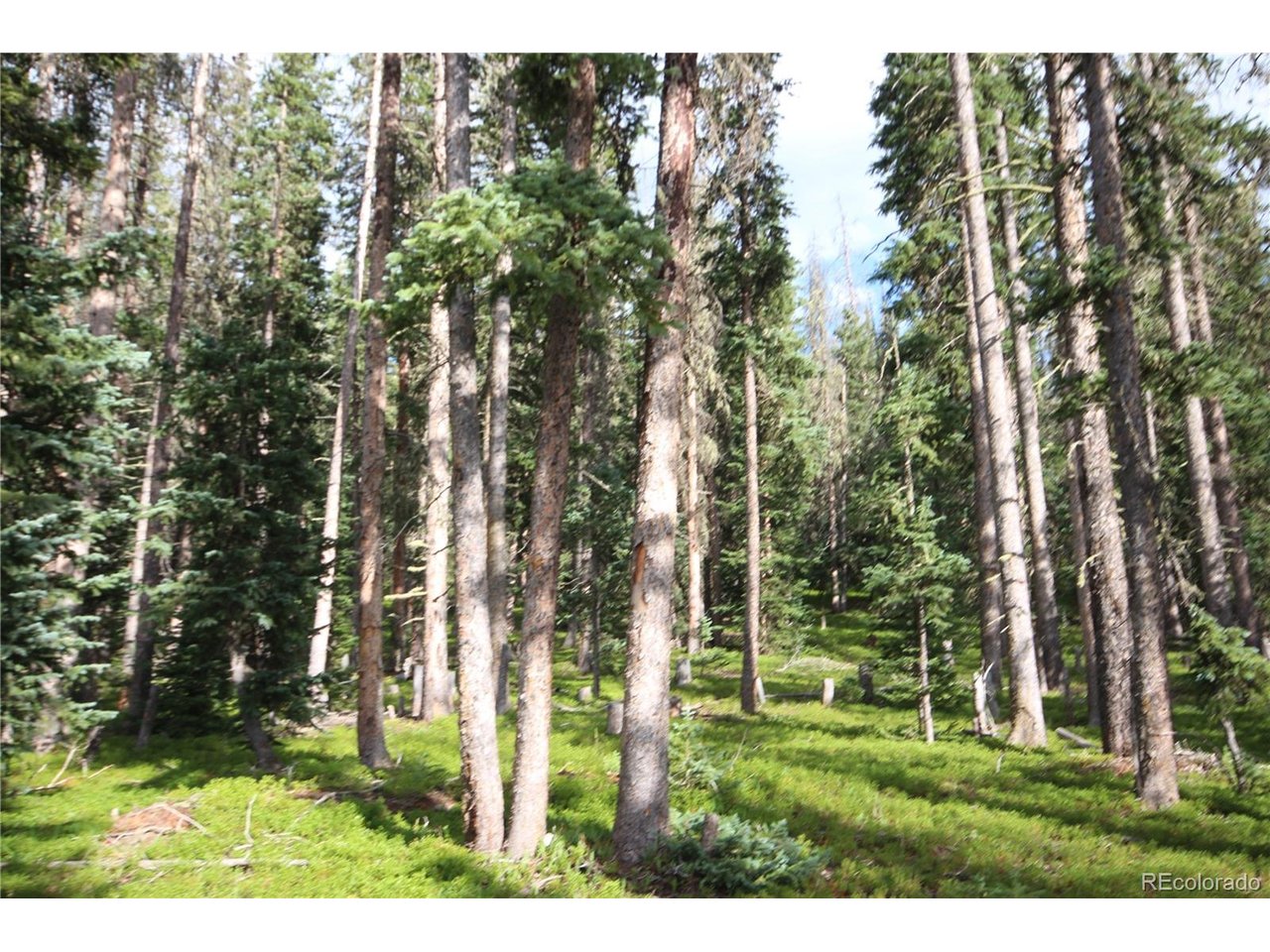 Photo of 6524 Forbes Rd San Luis CO 81152