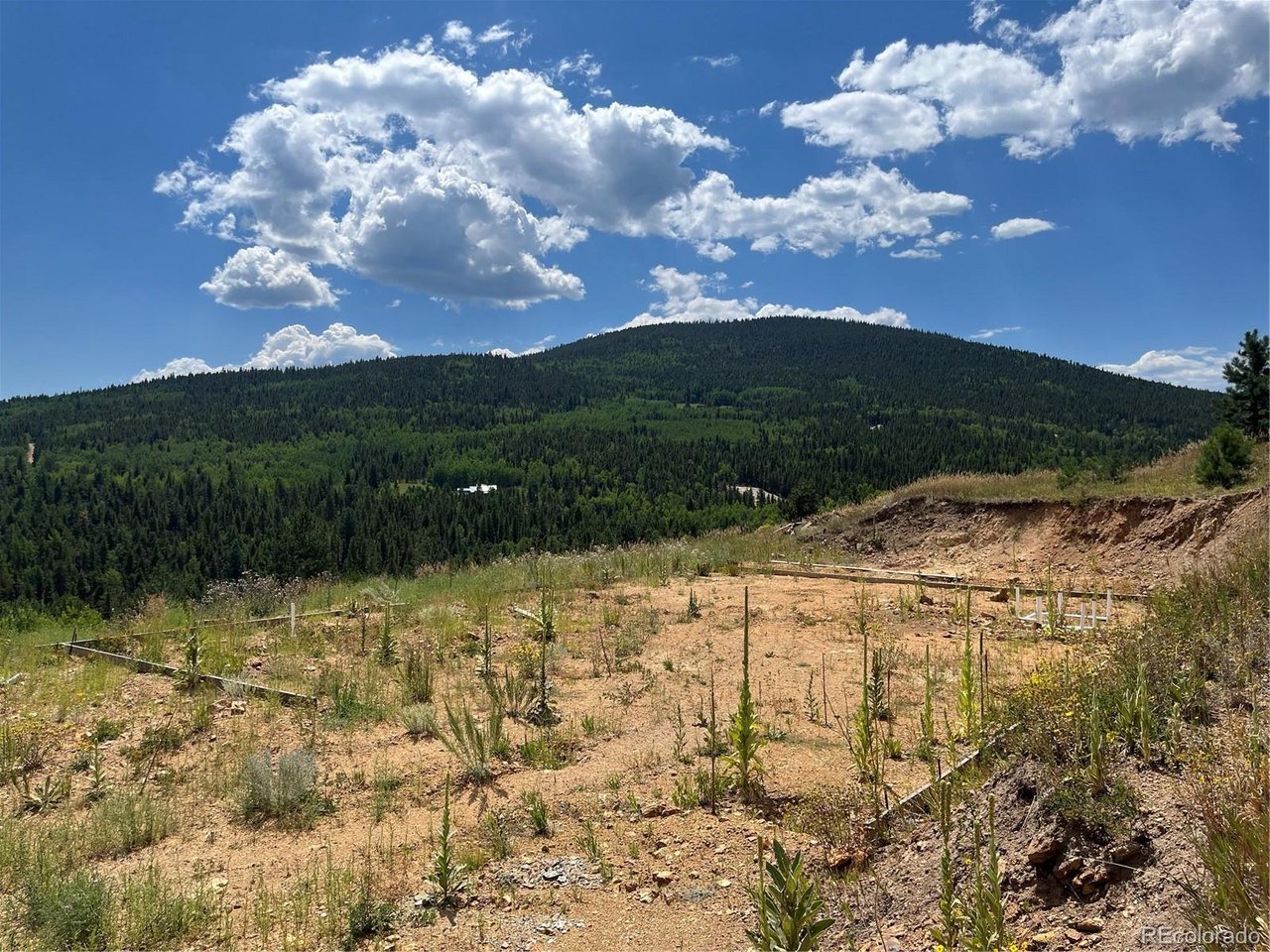 Photo of 795 Russell Gulch Rd Central City CO 80427