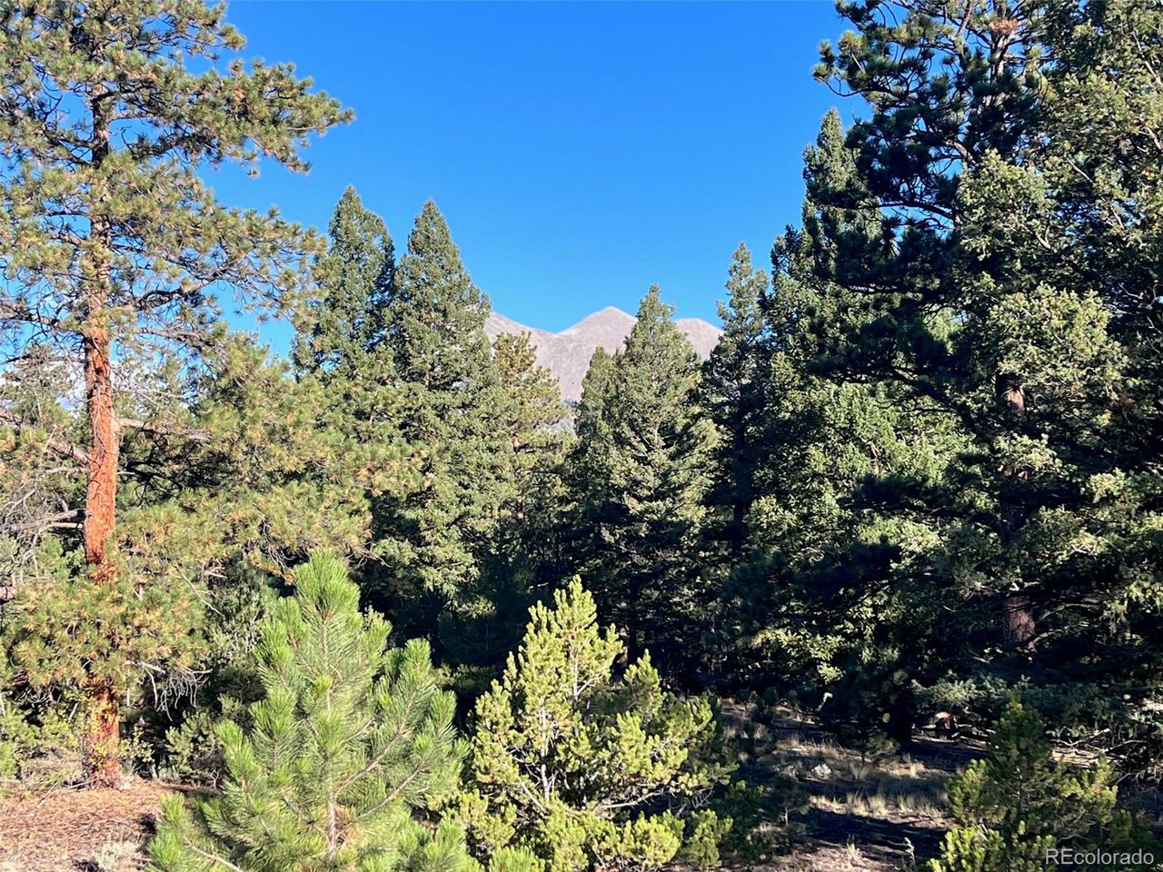 Photo of 14759 Quartz Cir Salida CO 81201