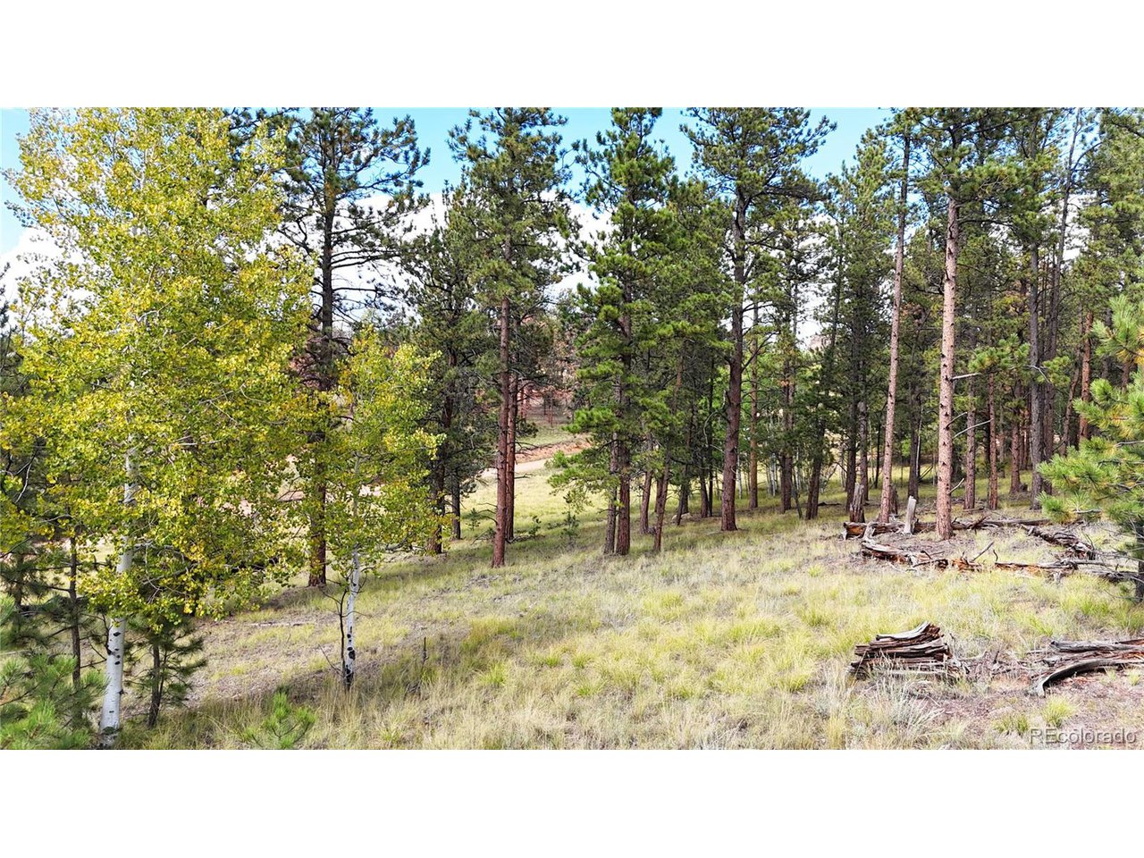 Photo of 2265 Vagabond Creek Dr Lake George CO 80827