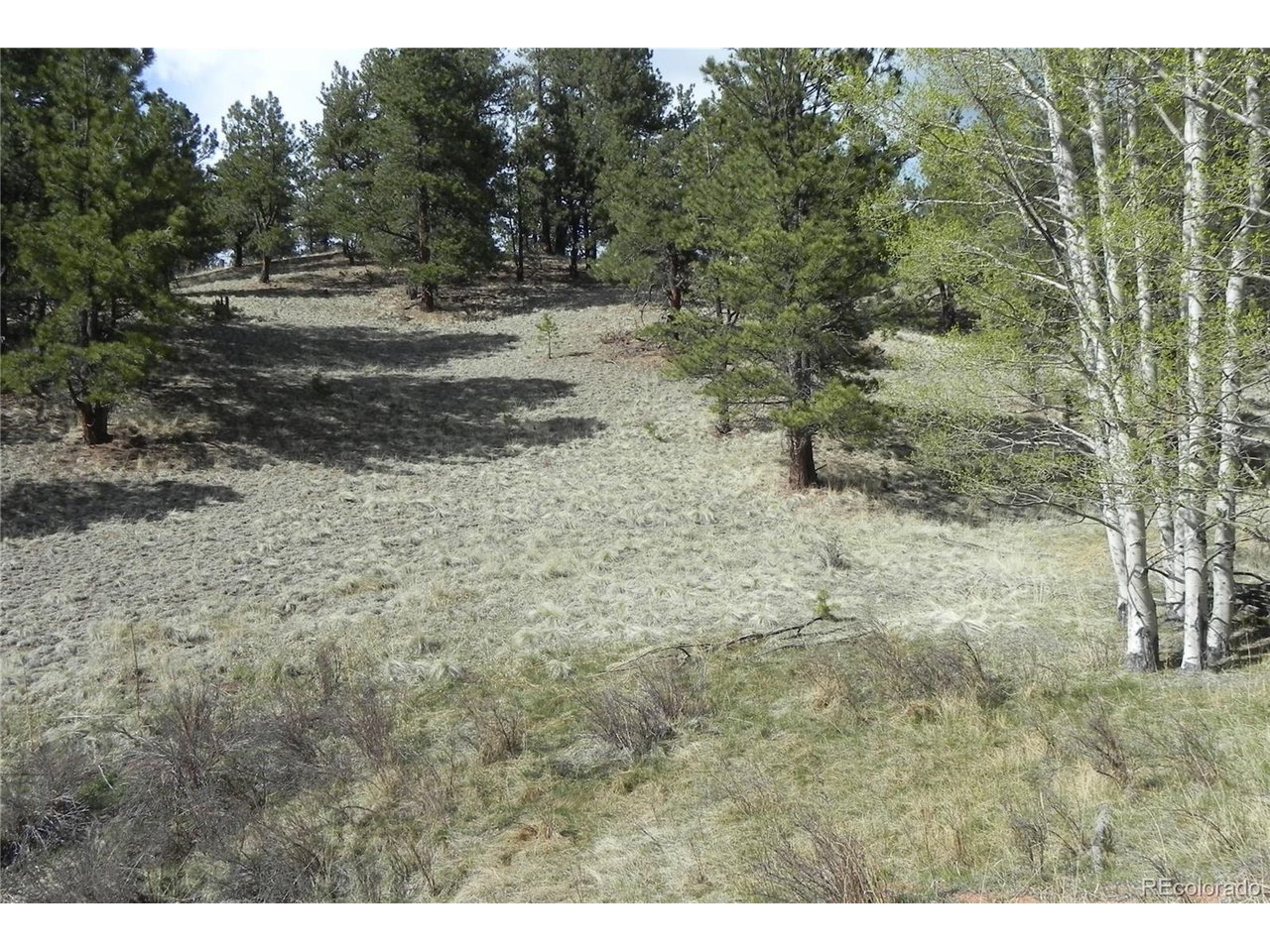 Photo of 1699 Monarch Dr Cripple Creek CO 80813