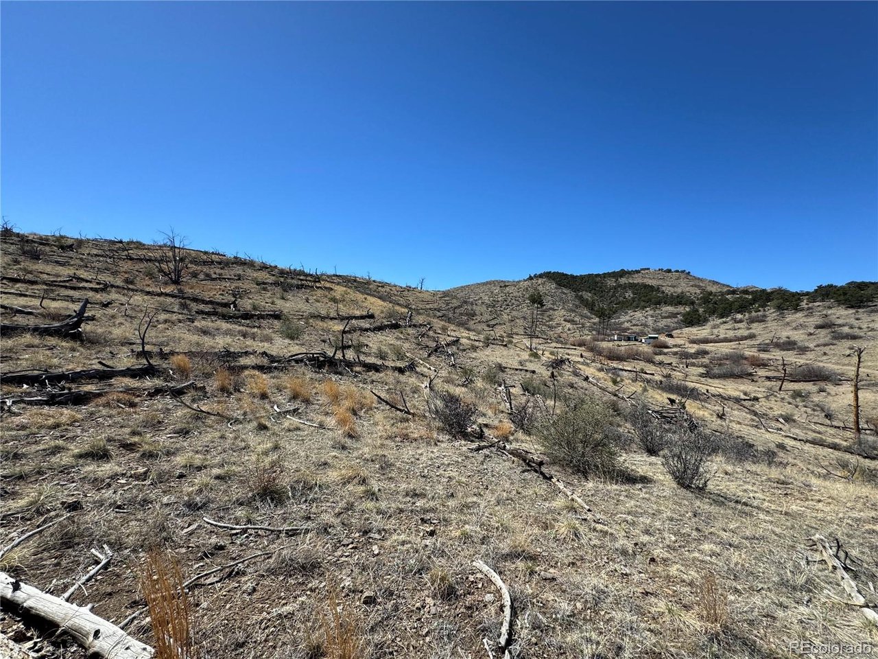 Photo of 32 F Path Cotopaxi CO 81223