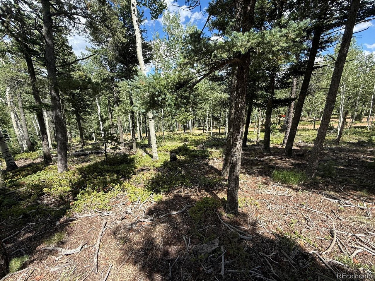 Photo of 167 Big Bear Rd Manitou Springs CO 80829