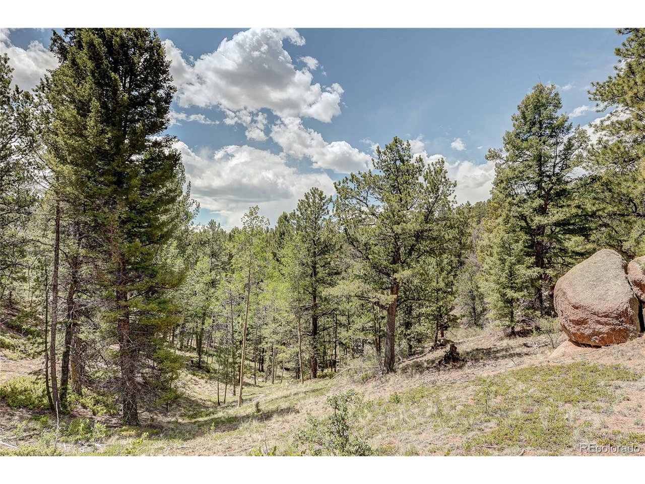 Photo of 59 Robin Pt Divide CO 80814