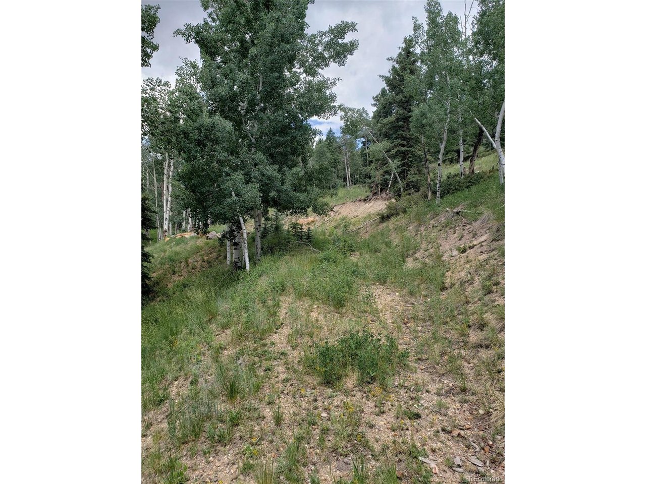 Photo of 10th St Jasper CO 81144