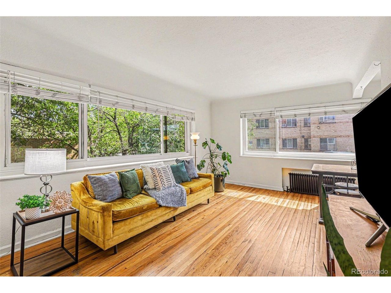 Photo of 1520 Glencoe St #7 Denver CO 80220