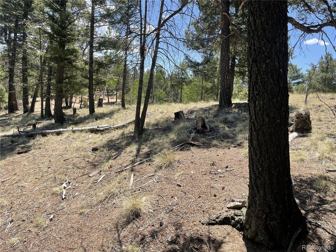 Photo of 971 Spring Valley Ln Florissant CO 80816
