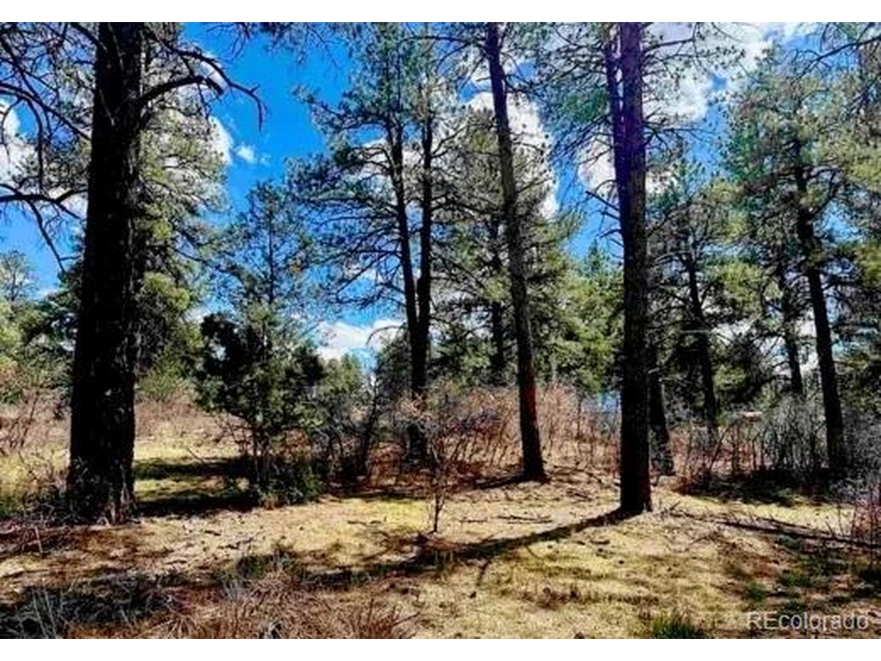 Photo of 184 Aztec Dr Pagosa Springs CO 81147