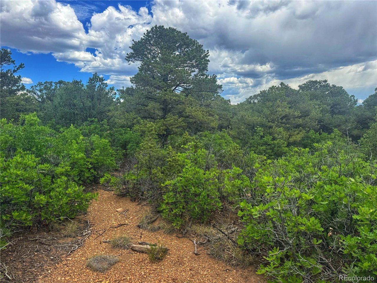 Photo of 106 Colorado Land & Grazing Walsenburg CO 81089