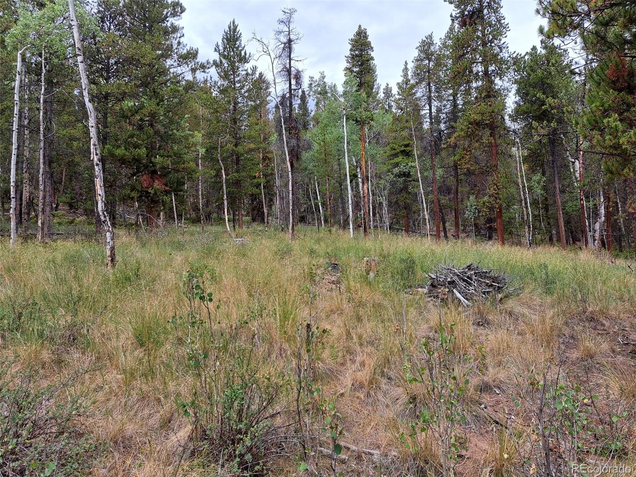 Photo of 1201 Beaver Creek Rd Fairplay CO 80440