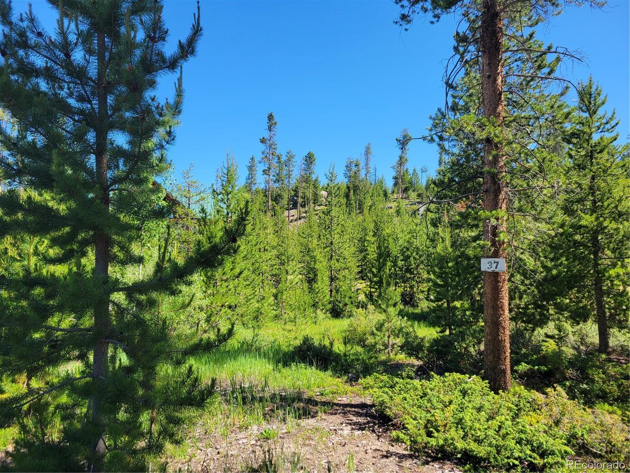 Photo of No Address Listed Grand Lake CO 80447