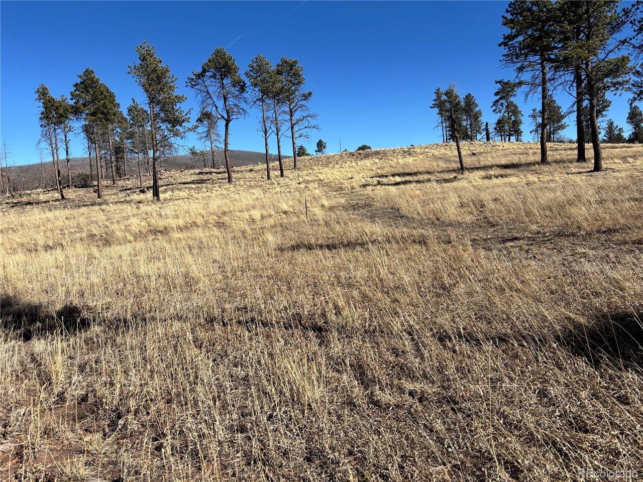 Photo of 0 Hart Ln. Fort Garland CO 81133