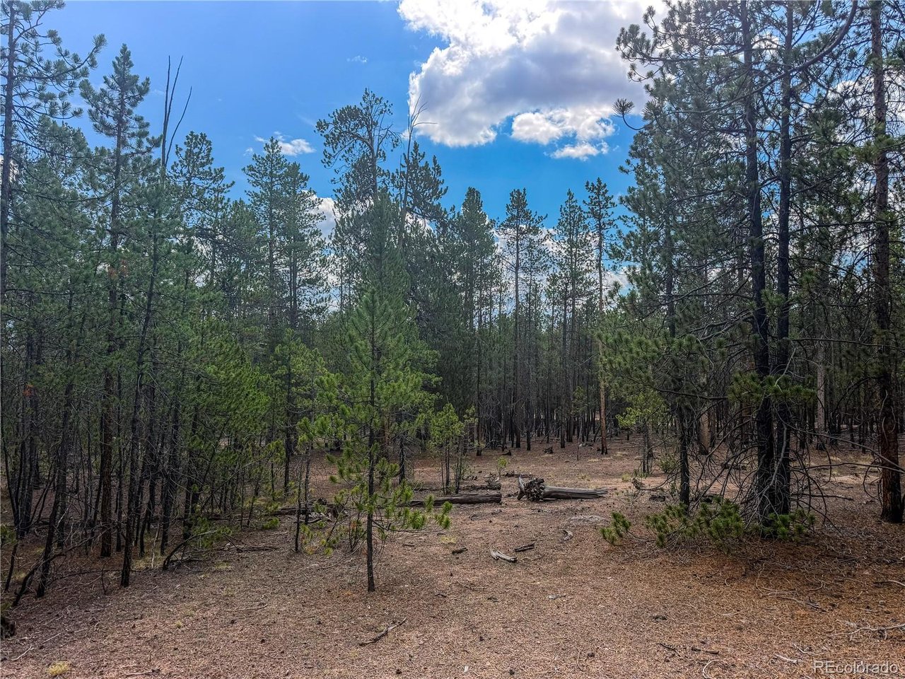 Photo of 569 Birch Dr Leadville CO 80461