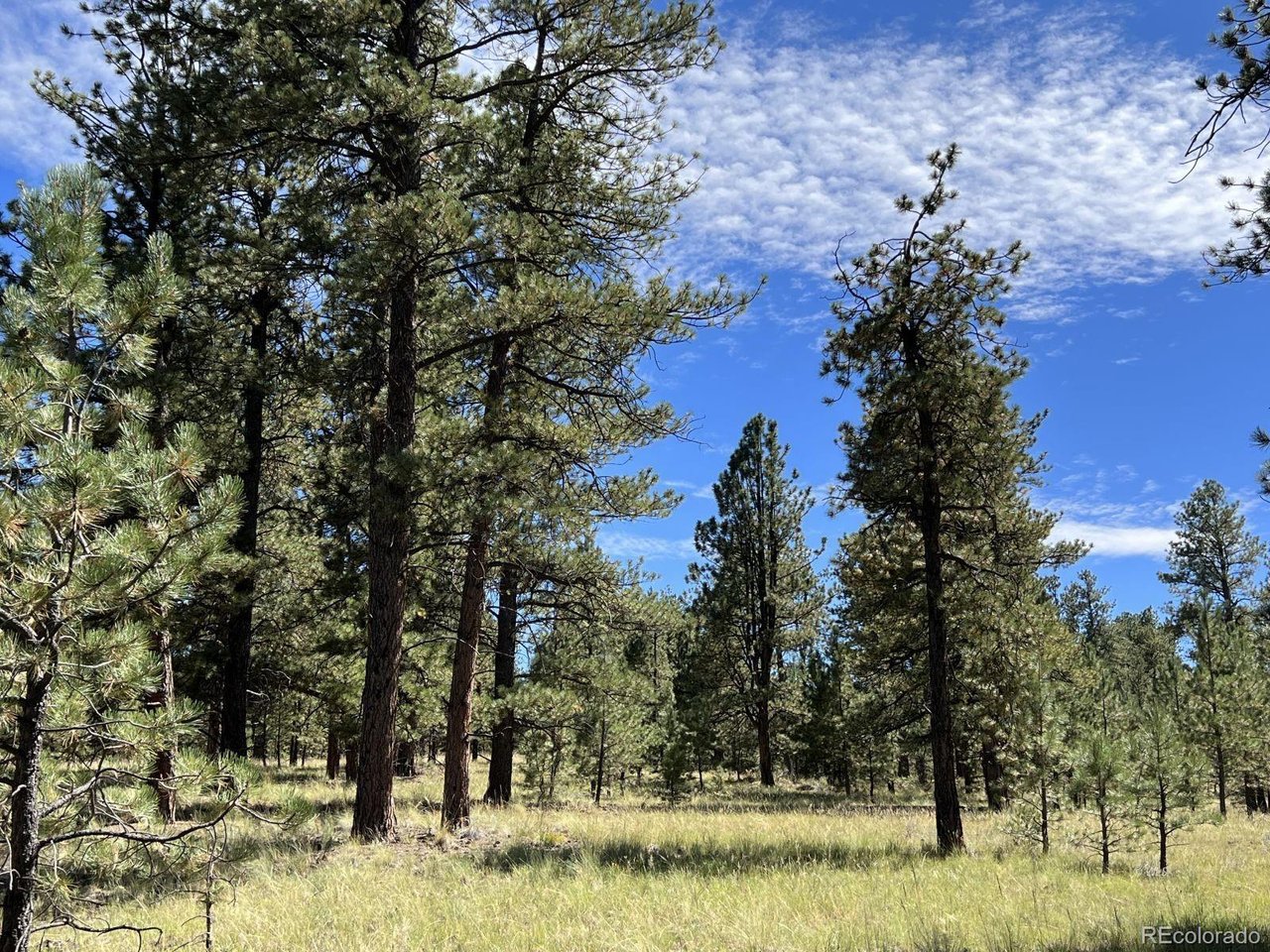Photo of 82 Kiowa Cir Westcliffe CO 81252
