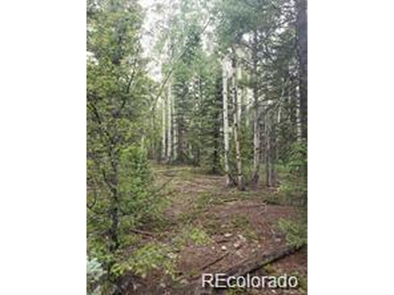 Photo of 4 8th St Jasper CO 81132