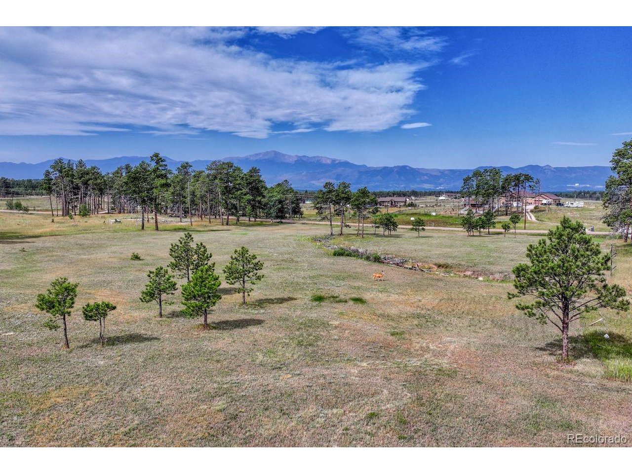 Photo of 4 Forest Heights Cir Colorado Springs CO 80908