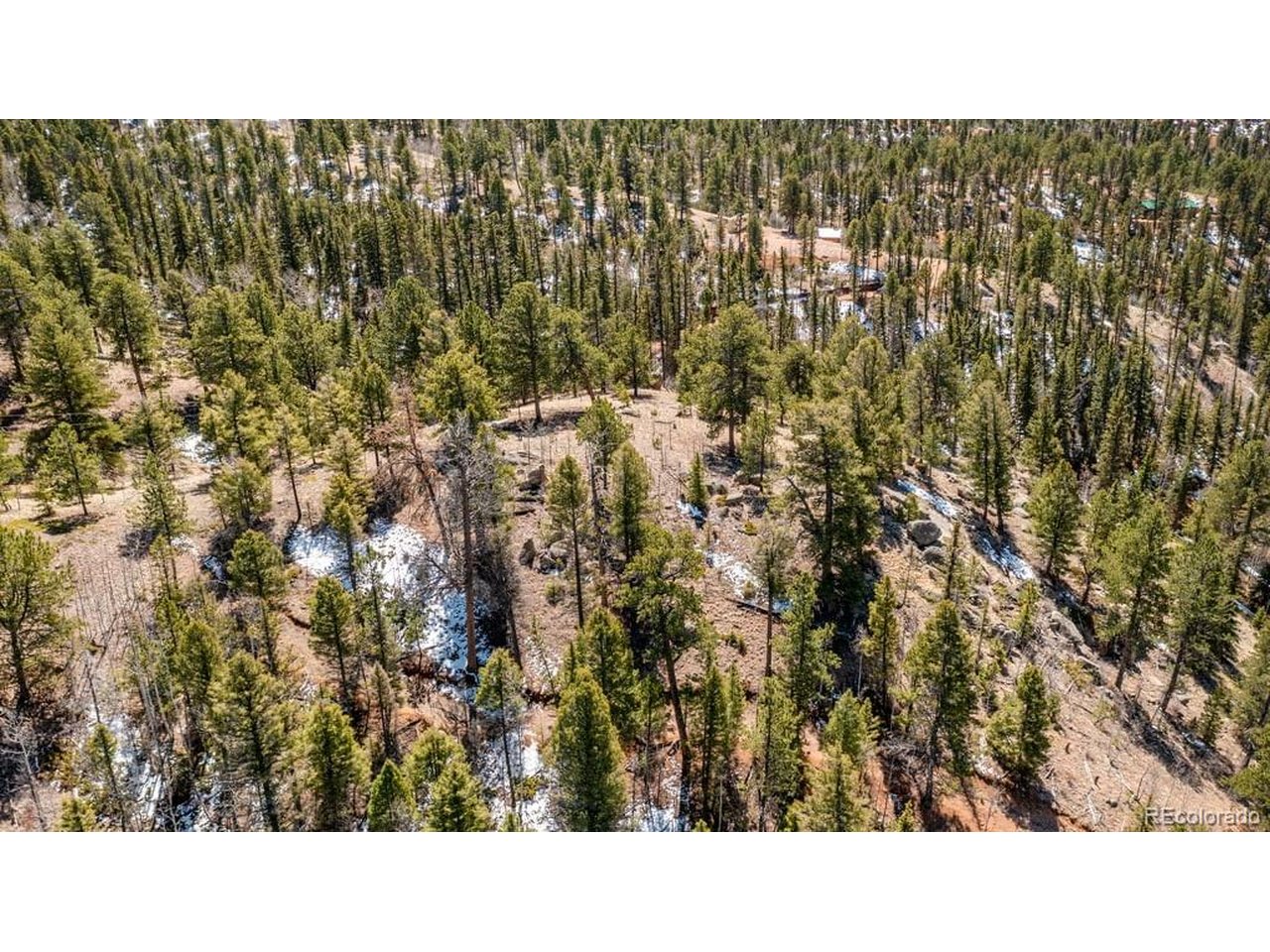 Photo of 196 Beaver Creek Cir Florissant CO 80816