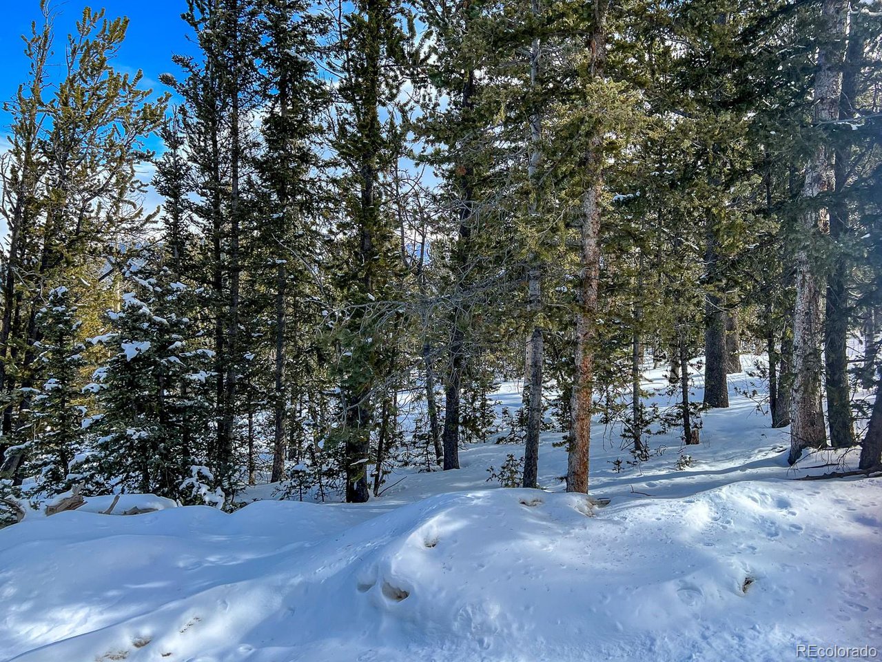Photo of R0029767 Cripple Creek CO 80813