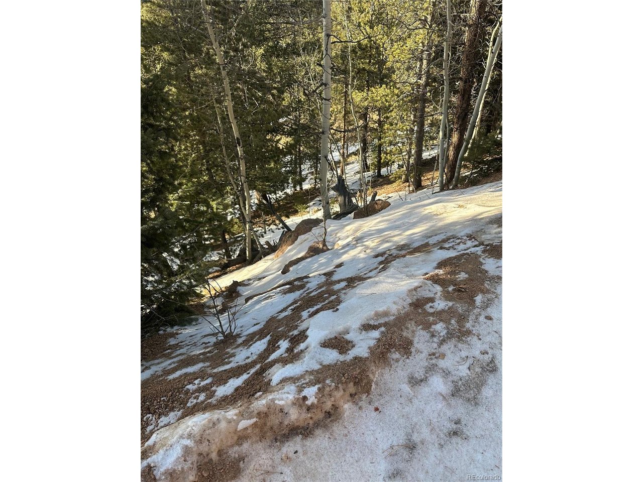 Photo of 1600 Pikes Peak Dr Divide CO 80814